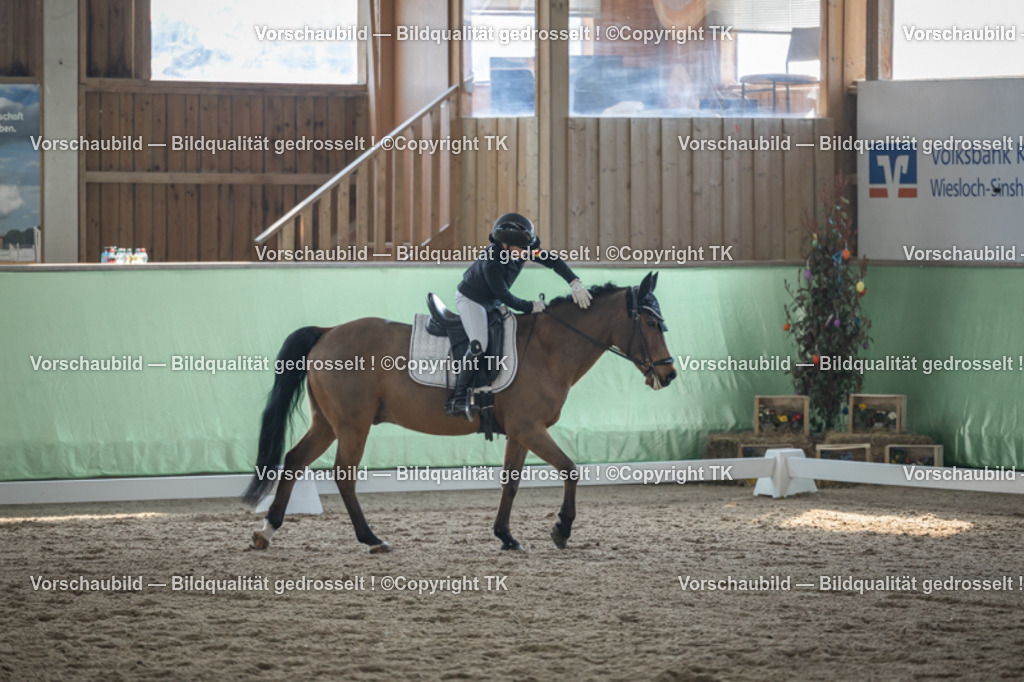 _D5A8571 | Emotionale Pferde- & People-Fotografie rund um Heidelberg, Leimen & Umgebung. Natürliche Fotos von Pferd, Mensch & Familie. Jetzt Termin sichern!