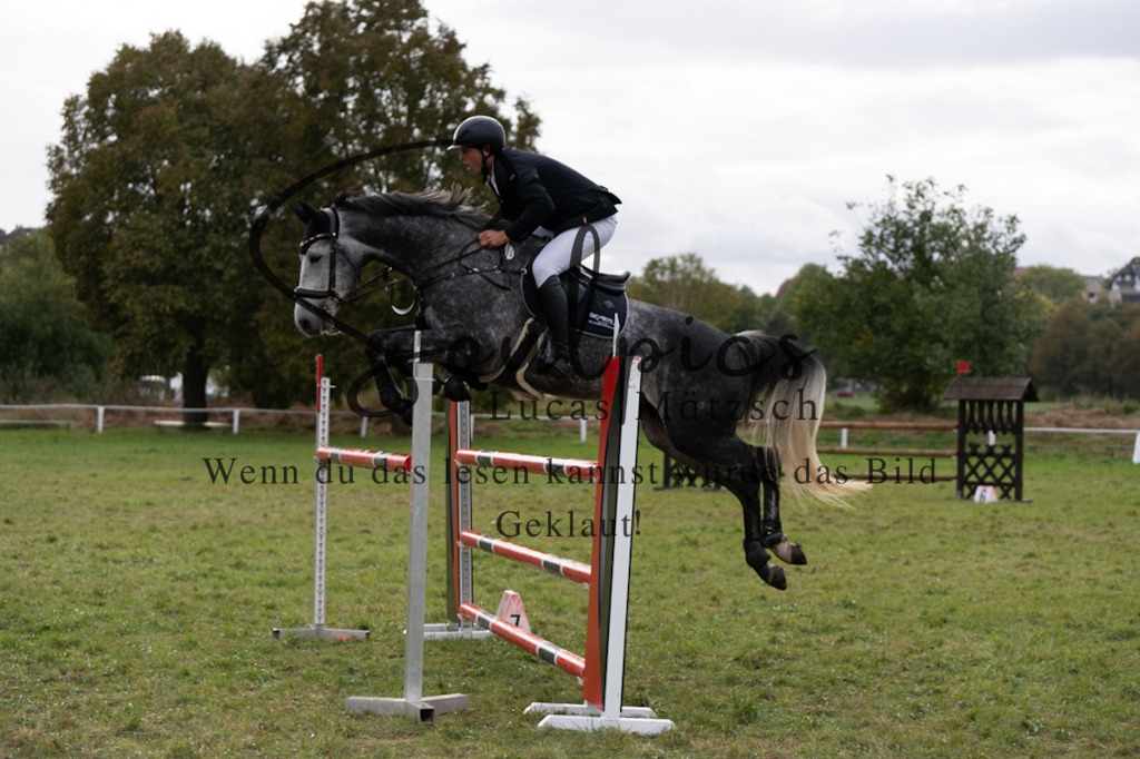 A7V07523 | Pferdefotograf