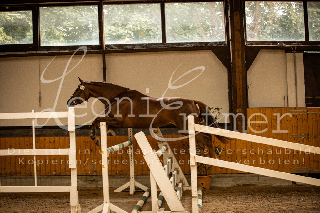 2FS_L00086 | Leoni Ertmer Photography - Realisiert mit Pictrs.com