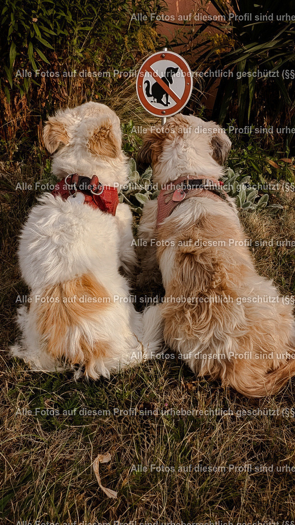 PXL_20240915_160149857_2 | krollfotografie - Realisiert mit Pictrs.com