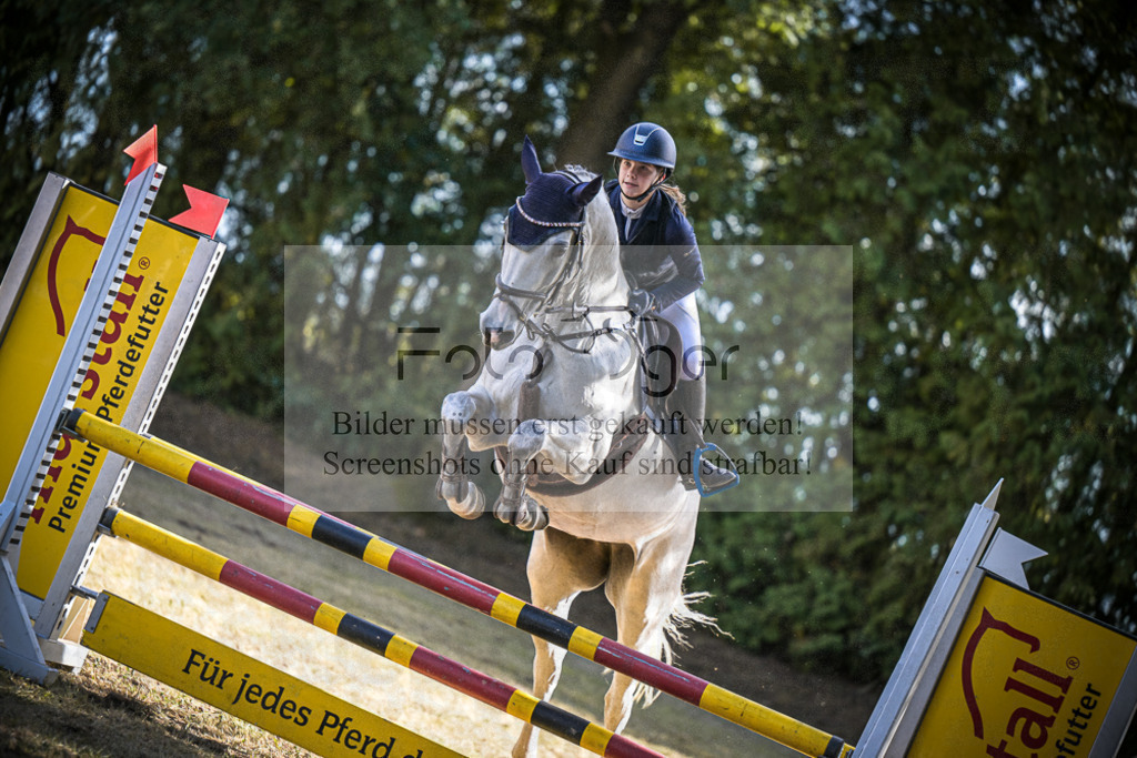 DOS_1022 | Entdecke hochwertige Reitturnierfotos von Foto Oger. Professionell, emotional und authentisch – jetzt Lieblingsmomente im Shop bestellen.Deutschlandweite Turnierfotografie. - Realisiert mit Pictrs.com