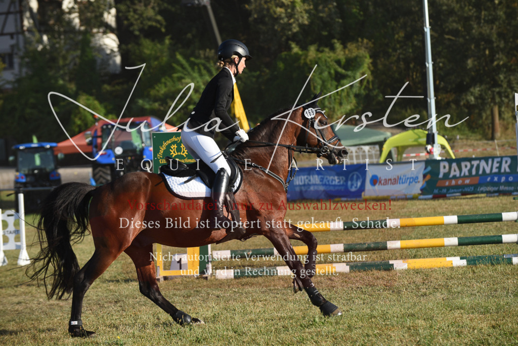 DSC_4929 | Pferde- und Turnierfotografie in Westsachsen. Pferdeportraits, Auftragszeichnungen und intuitive Kunst.