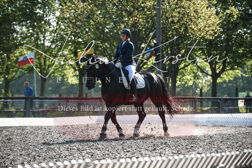 DSC_8459 | Pferde- und Turnierfotografie in Westsachsen. Pferdeportraits, Auftragszeichnungen und intuitive Kunst.