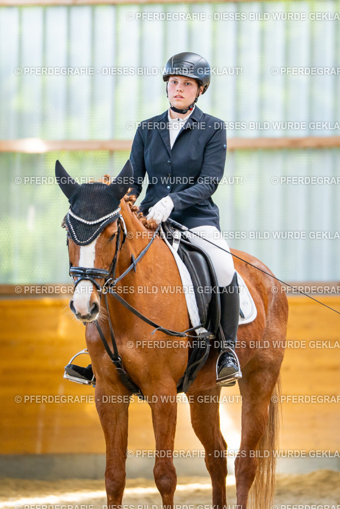 DSC08486 | Pferdegrafie