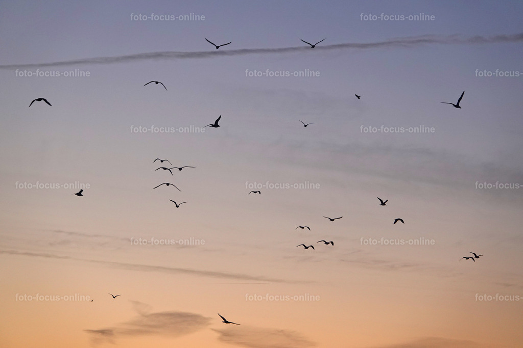 winter_clouds | foto-focus-online