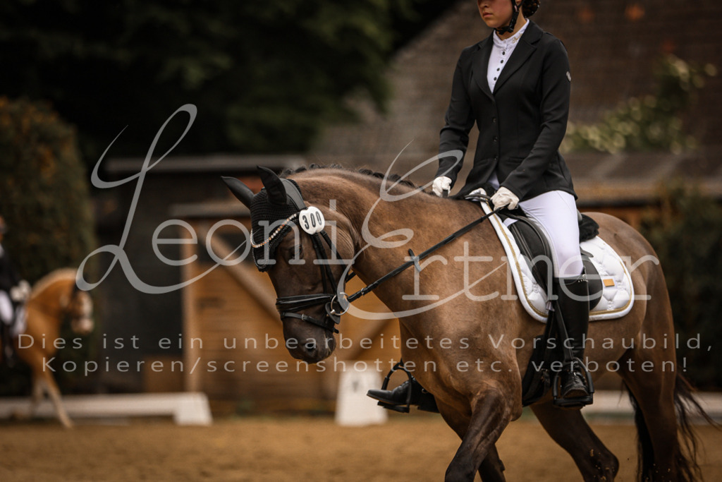 DoDrE00356 | Leoni Ertmer Photography - Realisiert mit Pictrs.com