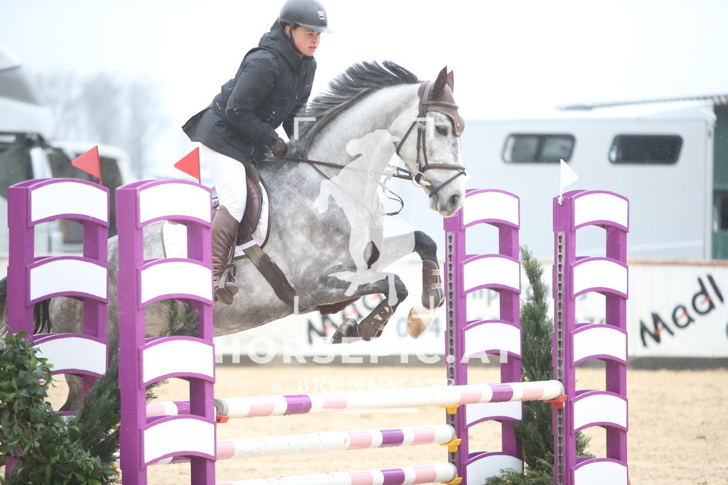 AS8V1295 | Willkommen bei Brunnmayr - Design & Fotografie – Ihrem Spezialisten für Reitturniere und Pferdeveranstaltungen in Oberösterreich, Salzburg und Bayern! Seit über 17 Jahren sind wir leidenschaftlich dabei.