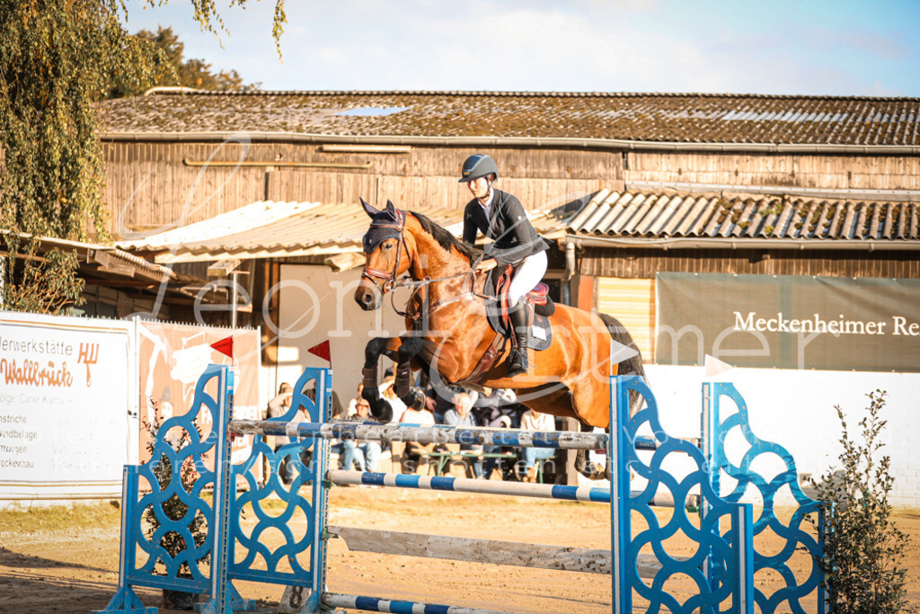 18.SoSpS00217 | Leoni Ertmer Photography - Realisiert mit Pictrs.com