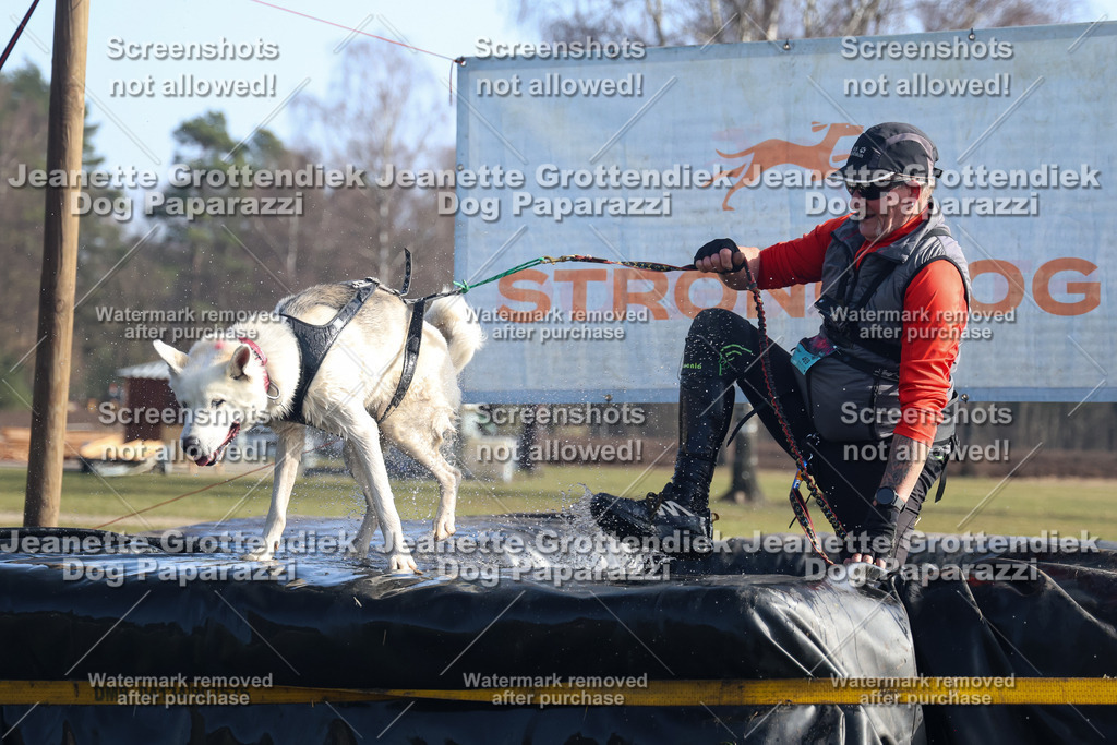 Dog Paparazzi - Strongdog North Mrz26-1232 | Dog Paparazzi Jeanette Grottendiek Fotografie & Videografie - Realisiert mit Pictrs.com