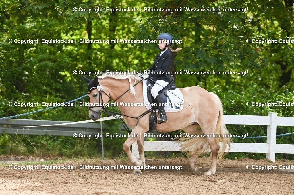 20230716_10-2_Reiter-WB Schritt - Trab - Galopp_0184 | equistock