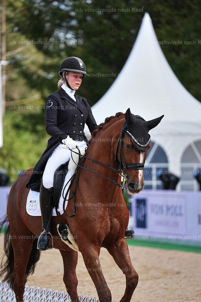 10-061-ST.GEORG SPECIAL -Marixx-3331 | working equitationturnier fotograf videograf stoibphotography marixx film working equitation deutschland reitsport turnierfotografie eventfotografie equestrian events