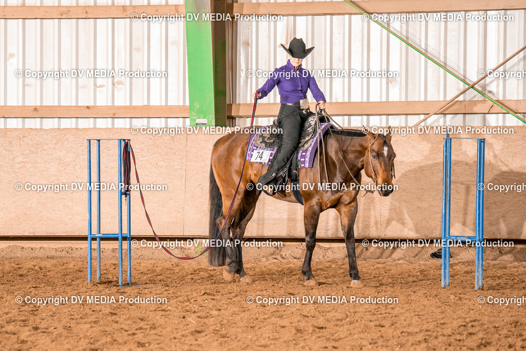 BAL00514 | dv-media-shop - Realisiert mit Pictrs.com