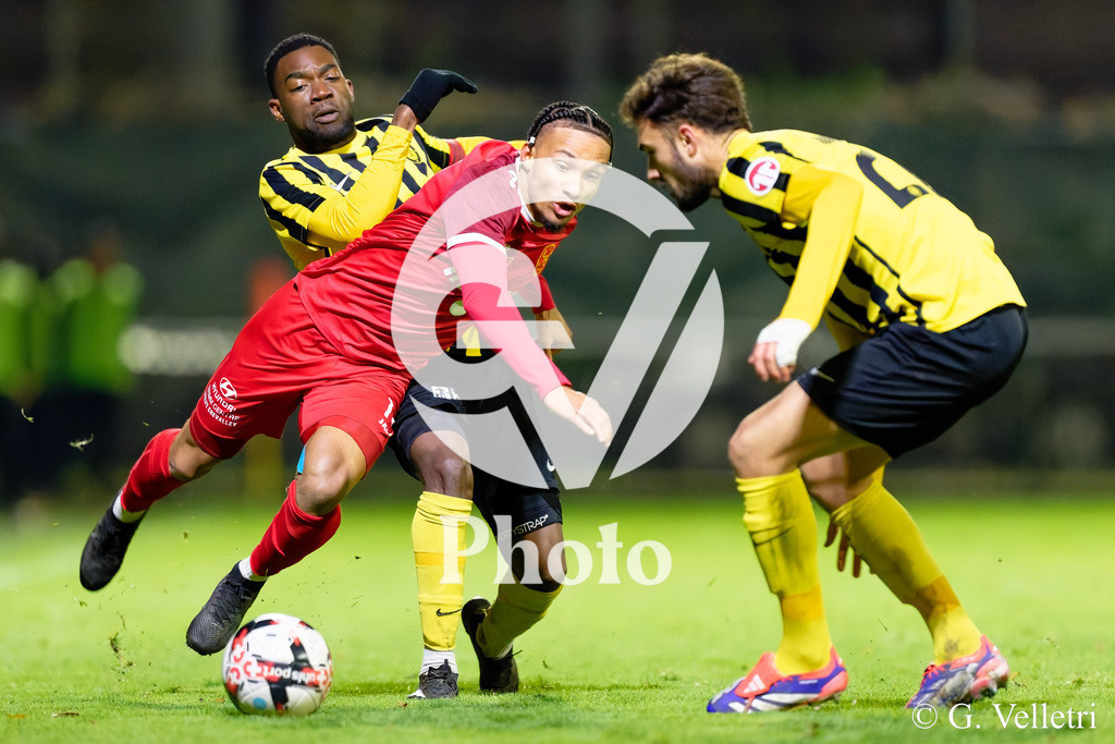 079_DZ9_5888 | Velletri Photo