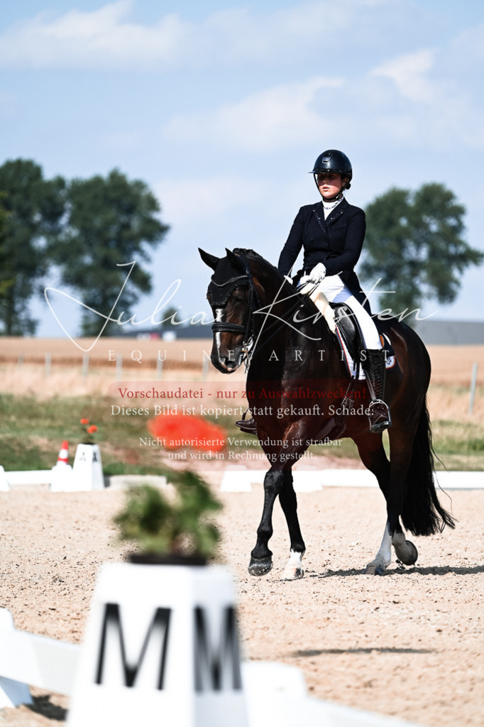 DSC_3362 | Pferde- und Turnierfotografie in Westsachsen. Pferdeportraits, Auftragszeichnungen und intuitive Kunst.