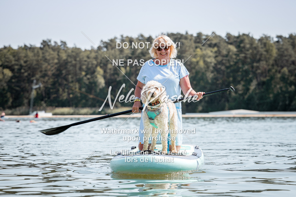 nelerasche_saSUP2_268 | nelerasche