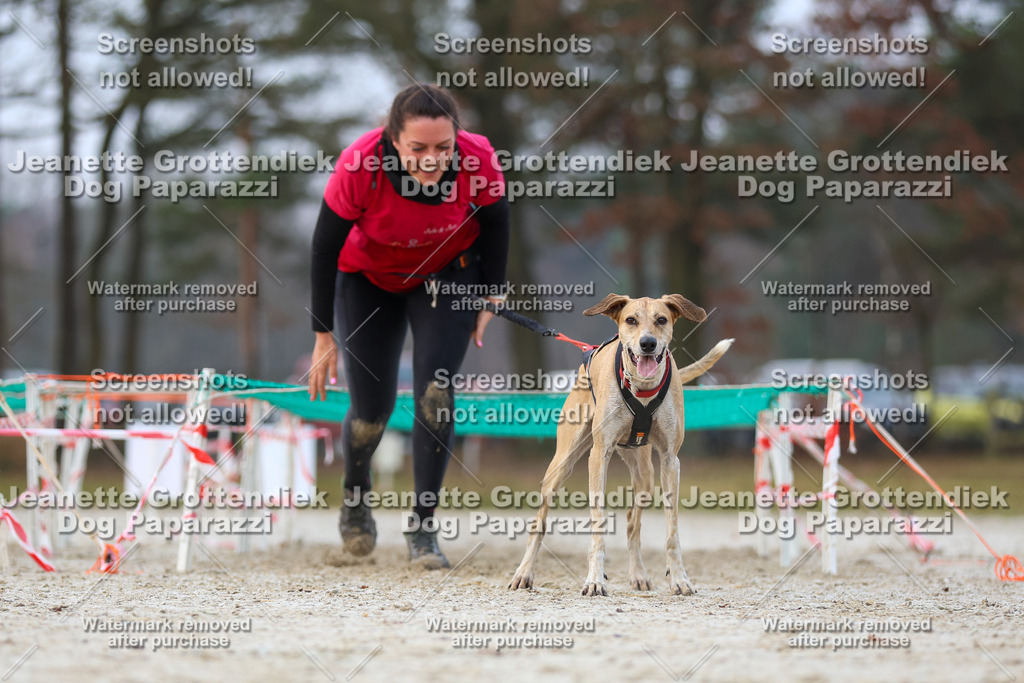 Dog Paparazzi - Strongdog North Mrz26-3641 | Dog Paparazzi Jeanette Grottendiek Fotografie & Videografie - Realisiert mit Pictrs.com
