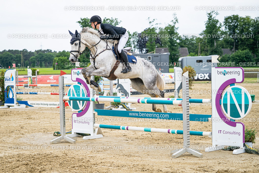 DSC06098 | Pferdegrafie