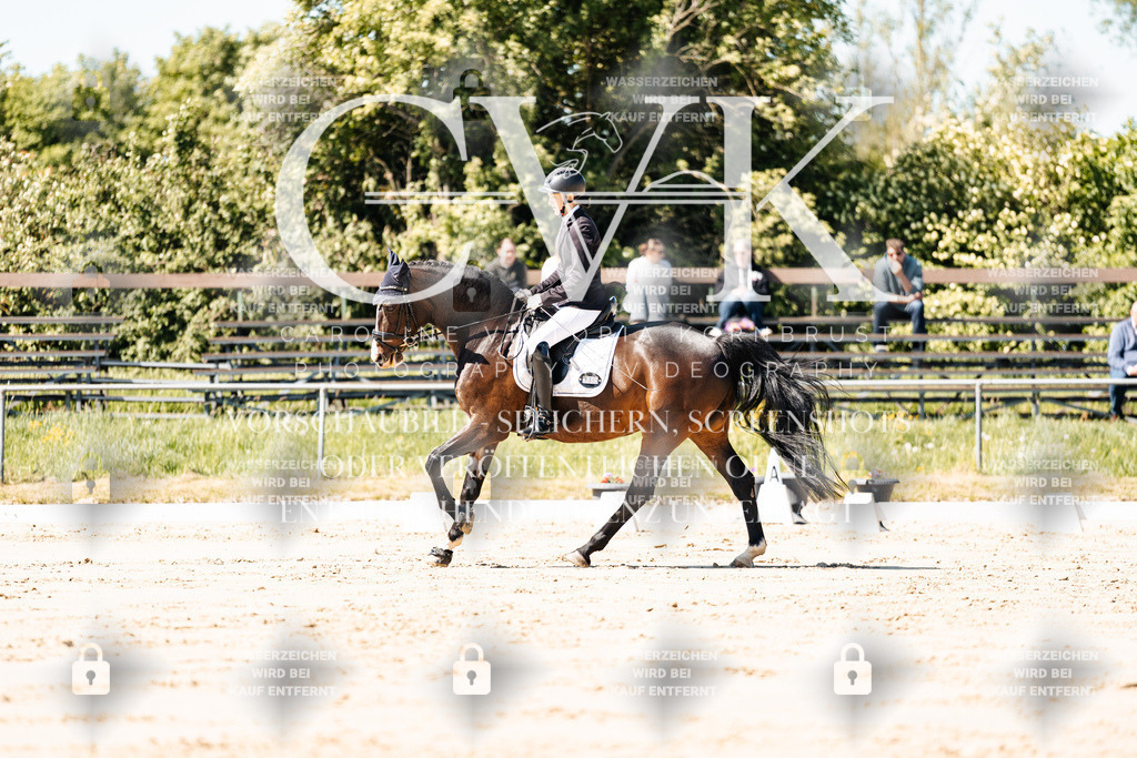 CK905069 | Turnierfotografie Pferdefotografie Trier Rheinland-Pfalz Pferdesport Reitsport Tierfotografie Sportfotografie Pferdevideo Pferdevideografie Equestrianvideography equestrianphotography  - Realisiert mit Pictrs.com