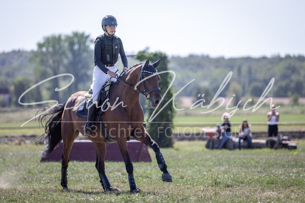 20260906-_3LI3790 | Tierfotografie Pferde, Hunde, Katzen, Haustiere.
Turnierfotografie Reitturniere, Reiten, Springreiten, Dressur in Hanau, dem Main-Kinzig-Kreis und dem Rhein-Main- Gebiet um Frankfurt