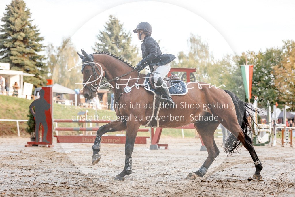 3I6A1990 | Stimmungsvolle Portraits und Reitsportfotografie im Ruhrgebiet und im Münsterland.

Pferdefotografie, Hundefotografie, Tierfotografie, Reportagen, Portraits von Tier und Mensch, Turnierfotografie in Bochum, Recklinghausen, Marl, Haltern am See, Dülmen.. - Realisiert mit Pictrs.com
