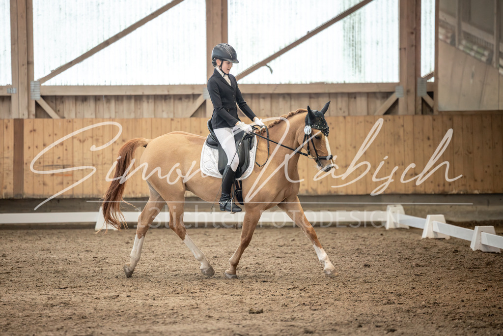 20251011-_3LI6694 | Tierfotografie Pferde, Hunde, Katzen, Haustiere.
Turnierfotografie Reitturniere, Reiten, Springreiten, Dressur in Hanau, dem Main-Kinzig-Kreis und dem Rhein-Main- Gebiet um Frankfurt