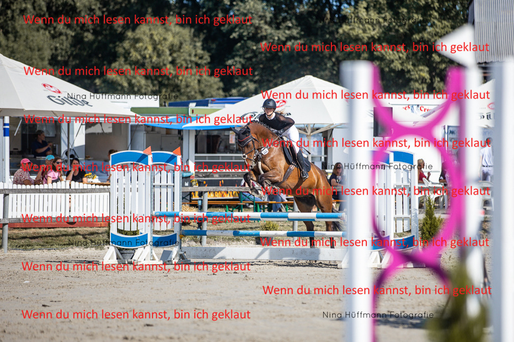 BK1A7141 | Turnierbilder Turnierfotos Nina Hüffmann Turnierfotografie Pferdefotografie Tierzeichnung Haustierzeichnung Pferdezeichnung Hundezeichnung Videograf  - Realisiert mit Pictrs.com