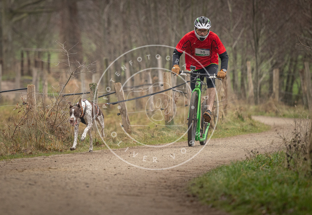 Pfotenfotografie_DV3A2501 | Hundefotografie, Tierfotograf, Pfotenfotografie, Fotoshooting Hund, Hunde Portrait, Hundesport, Hundeportraits, Heideshooting, Hunde, Sportfotograf, Hundefotograf, Turnierhundsport, THS,  - Realisiert mit Pictrs.com