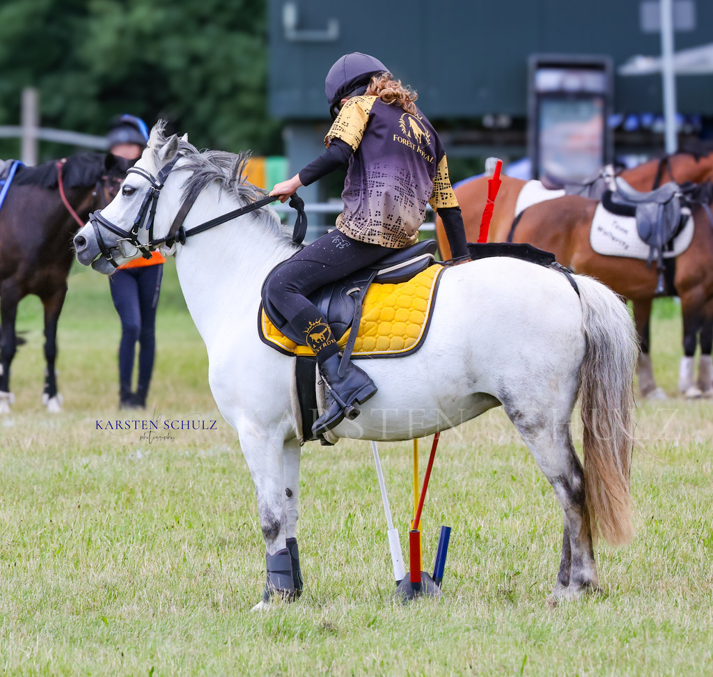 1B3A0693 | Reitsport Reiten