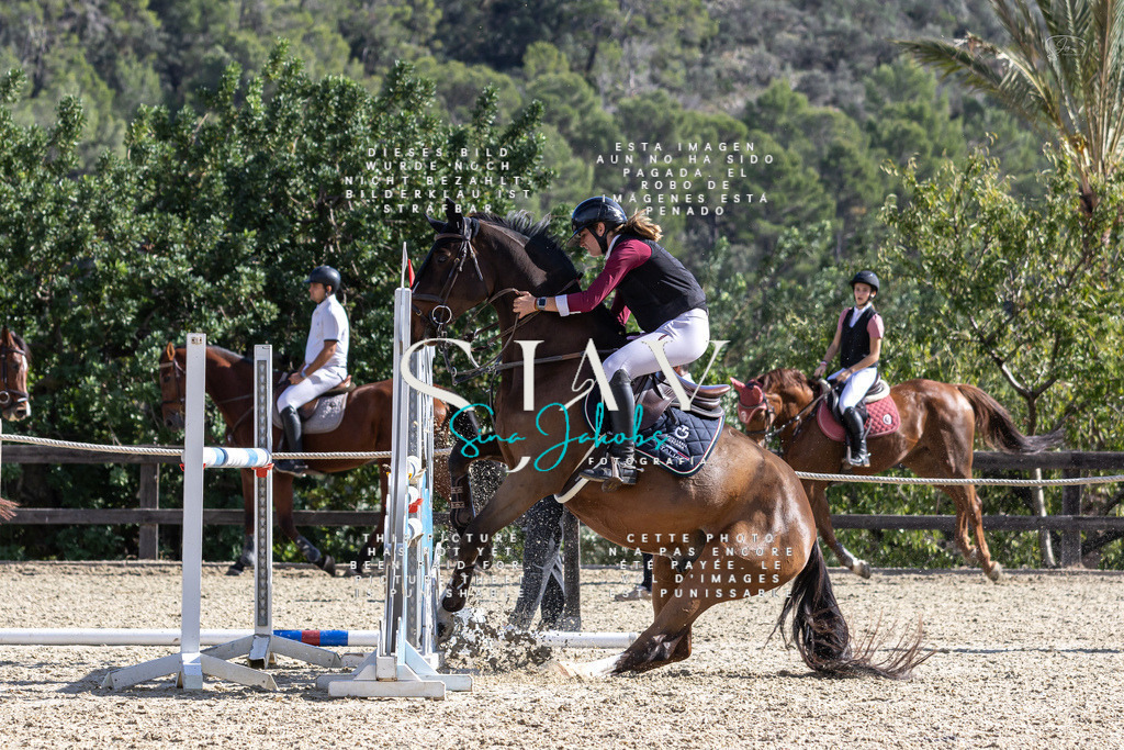 IMG_0350 | s-jay-photography - Realisiert mit Pictrs.com