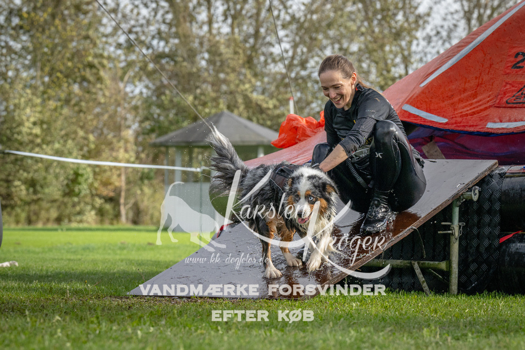 1217-93127 | kk-dogfotos