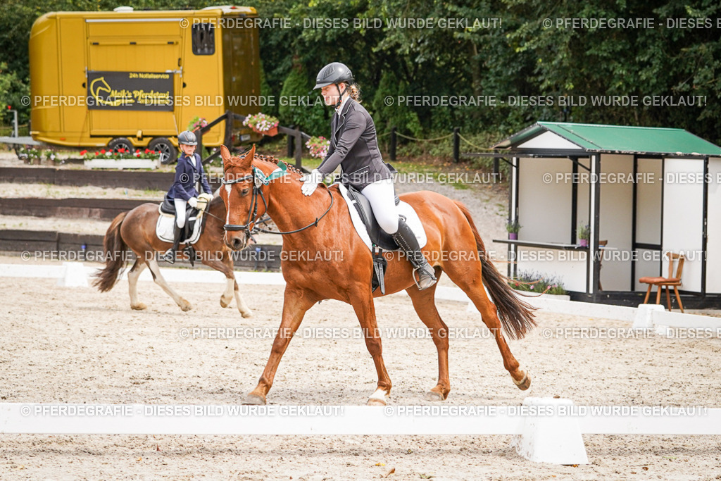 DSC04652 | Pferdegrafie