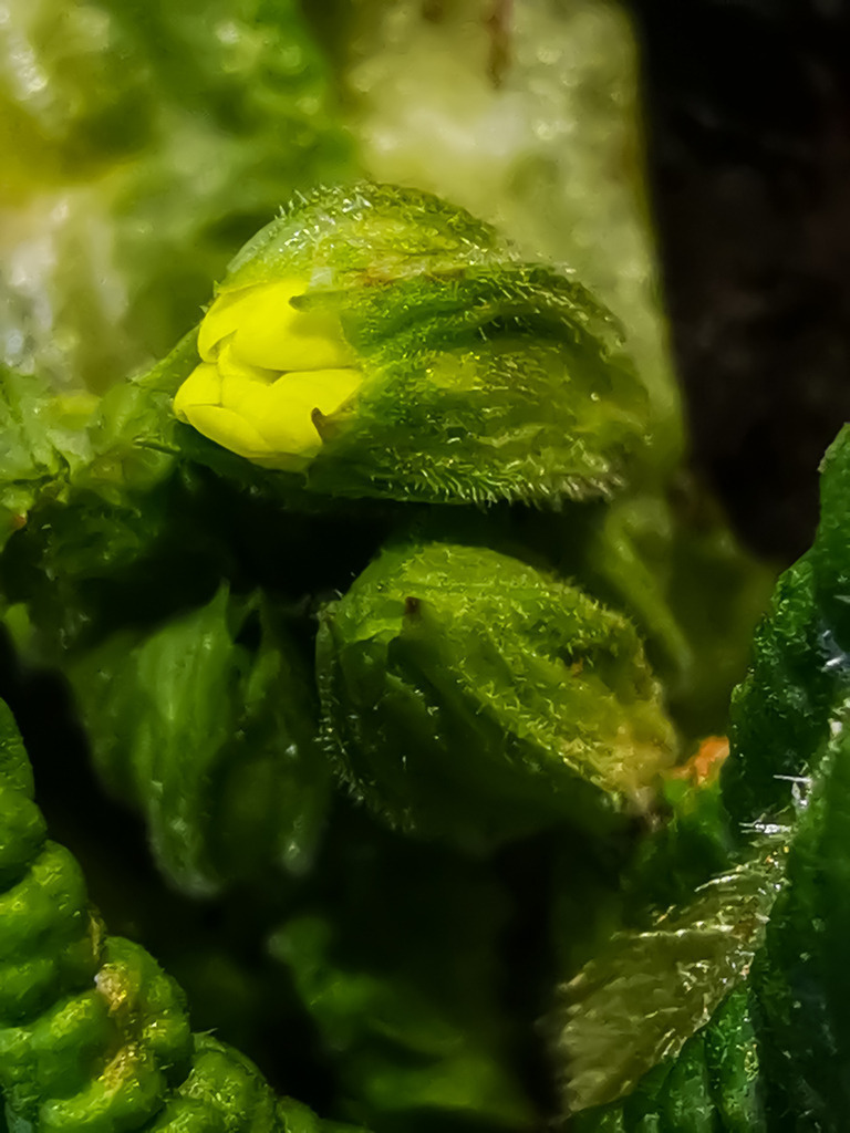 PSX_20230227_225738 | mtkfoto_ - Realisiert mit Pictrs.com