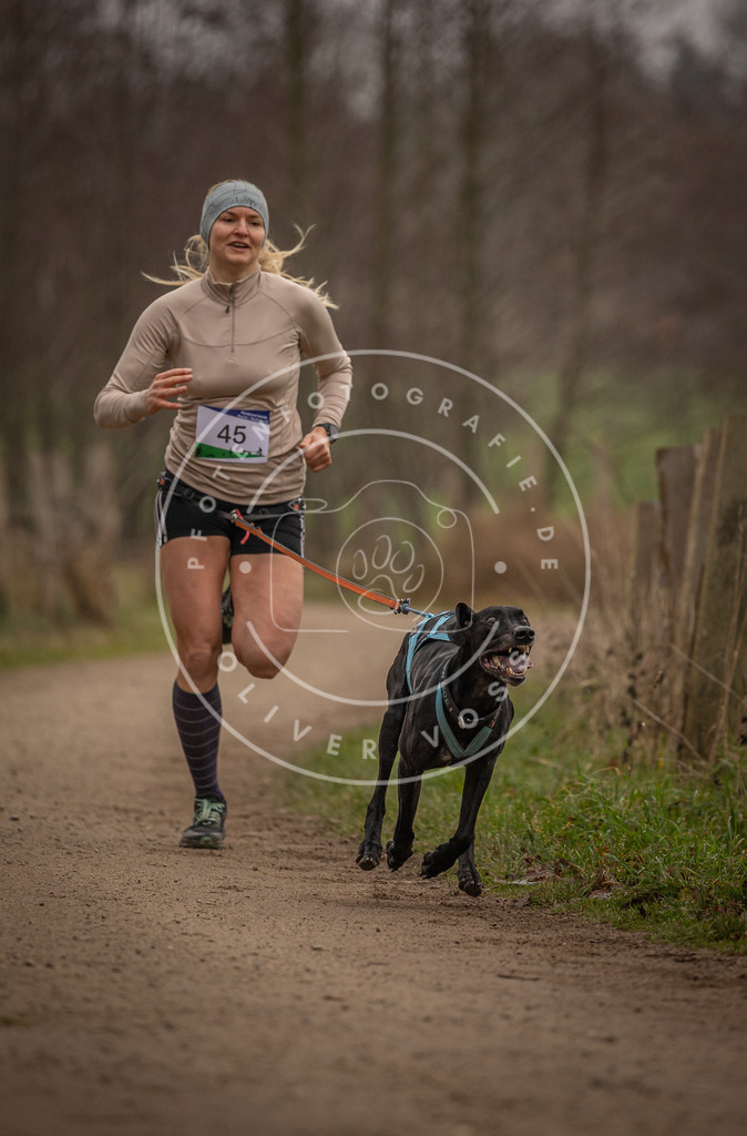 Pfotenfotografie_DV3A2727 | Hundefotografie, Tierfotograf, Pfotenfotografie, Fotoshooting Hund, Hunde Portrait, Hundesport, Hundeportraits, Heideshooting, Hunde, Sportfotograf, Hundefotograf, Turnierhundsport, THS,  - Realisiert mit Pictrs.com