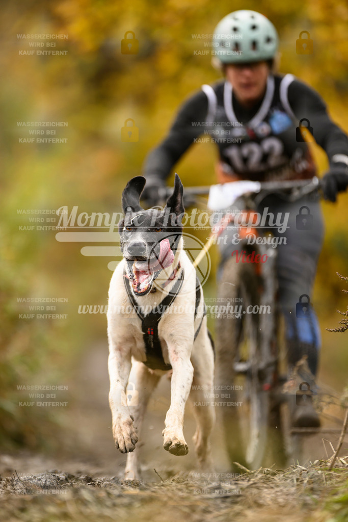MompixPhotography_ICF_WC_2024_SA_Bike_-109 | PayLife