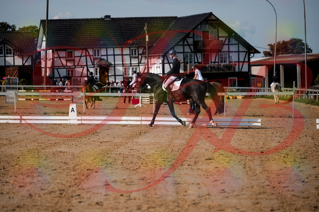 2026_10_03_Siefer-Hof_115511_Z63_30615317 | Professionelle Reitsport-, Turnier- und Eventfotografie von Robert Broda. Galerien mit ausgewählten und bearbeiteten Bildern direkt online ansehen und bestellen.