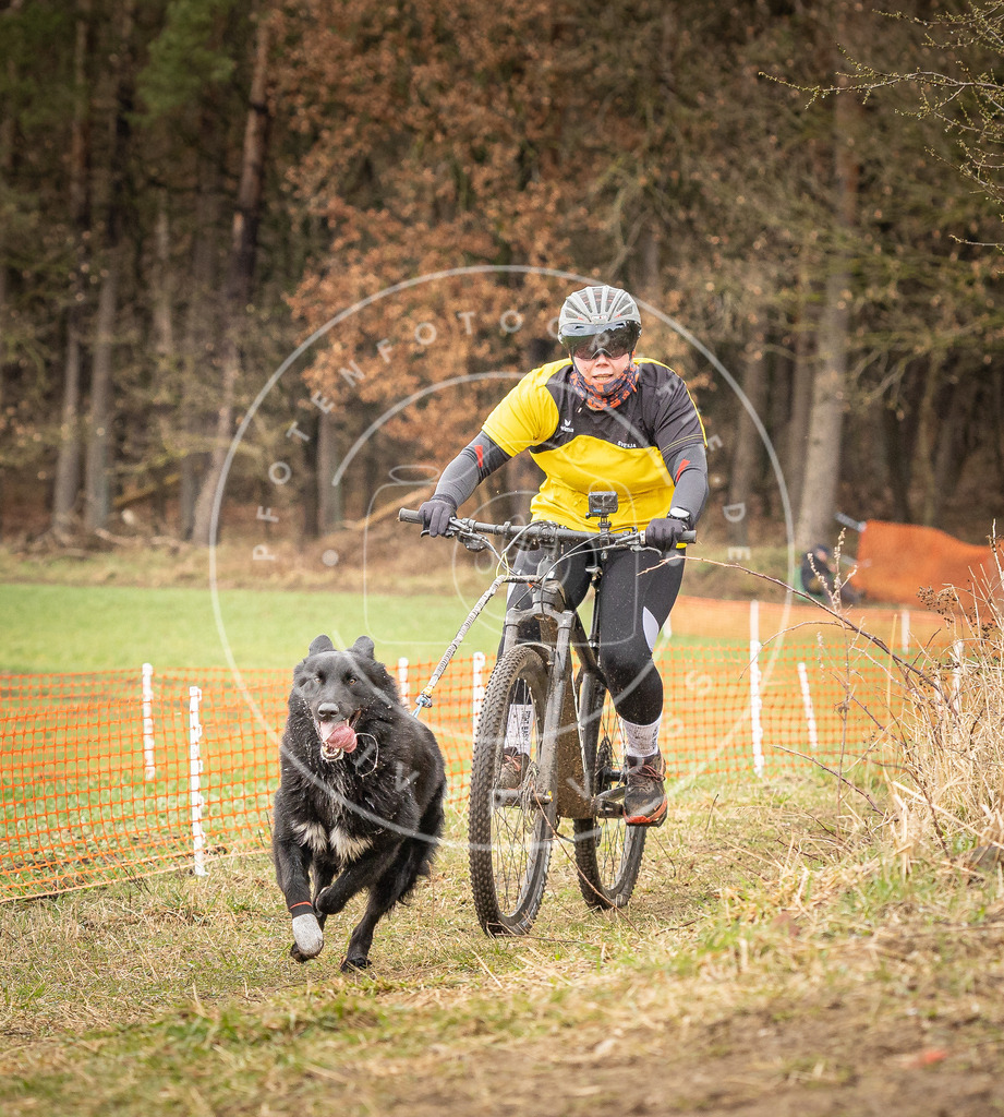 DV3A0905 | Hundefotografie, Tierfotograf, Pfotenfotografie, Fotoshooting Hund, Hunde Portrait, Hundesport, Hundeportraits, Heideshooting, Hunde, Sportfotograf, Hundefotograf, Turnierhundsport, THS,  - Realisiert mit Pictrs.com