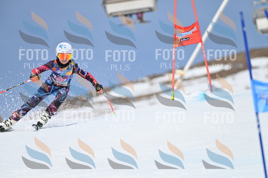 BGV_2754 | holidayphoto