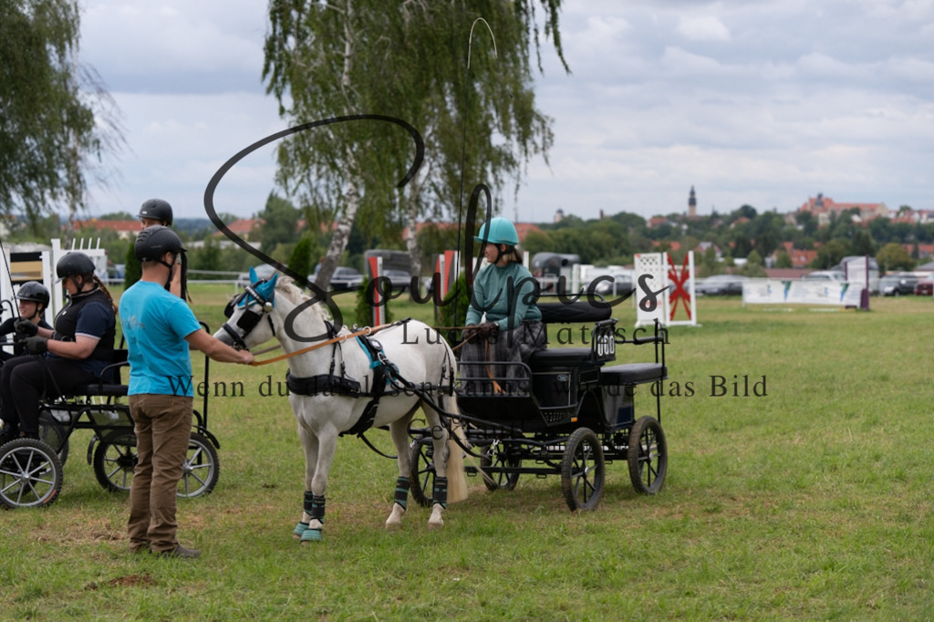 A7V06183 | Turnier/Reitfotograf