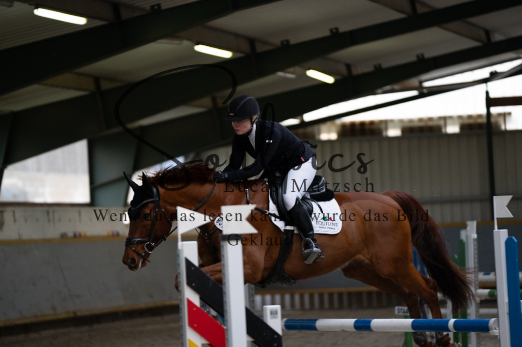 A7V04472 | Pferdefotograf