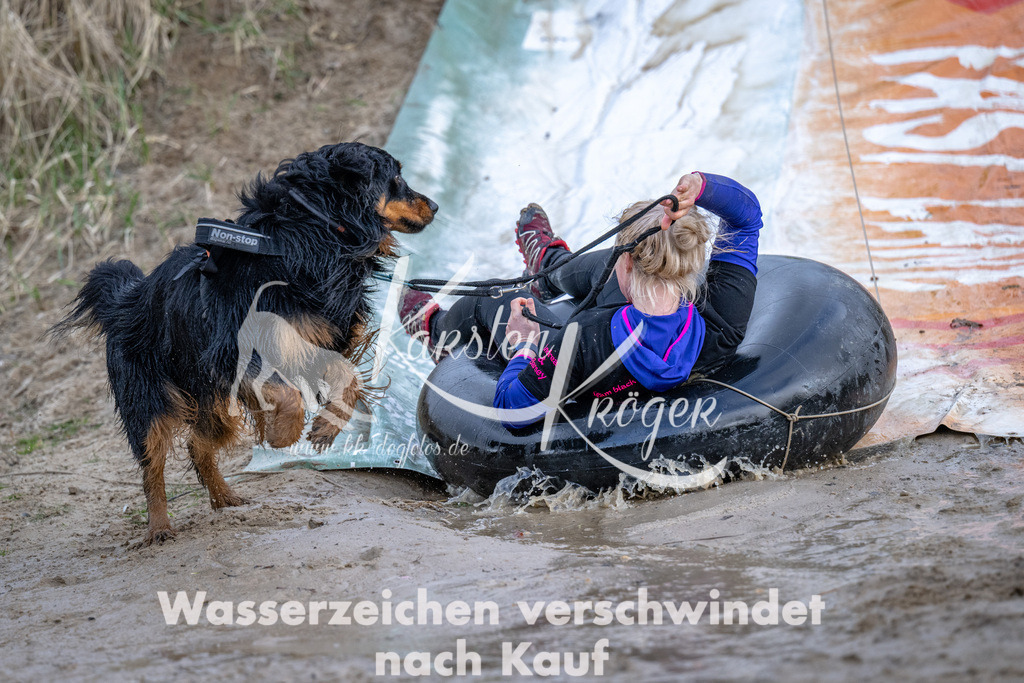 1528_ZZ93568 | kk-dogfotos