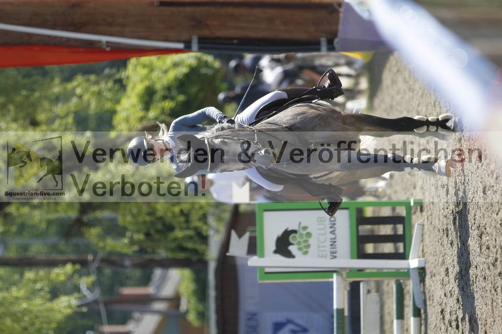 _MG_8363 | equestrian-live-com