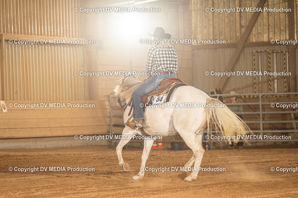 NID03810 | dv-media-shop - Realisiert mit Pictrs.com