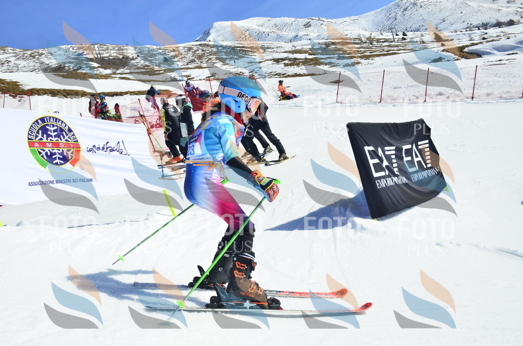 _ELE9911 | holidayphoto