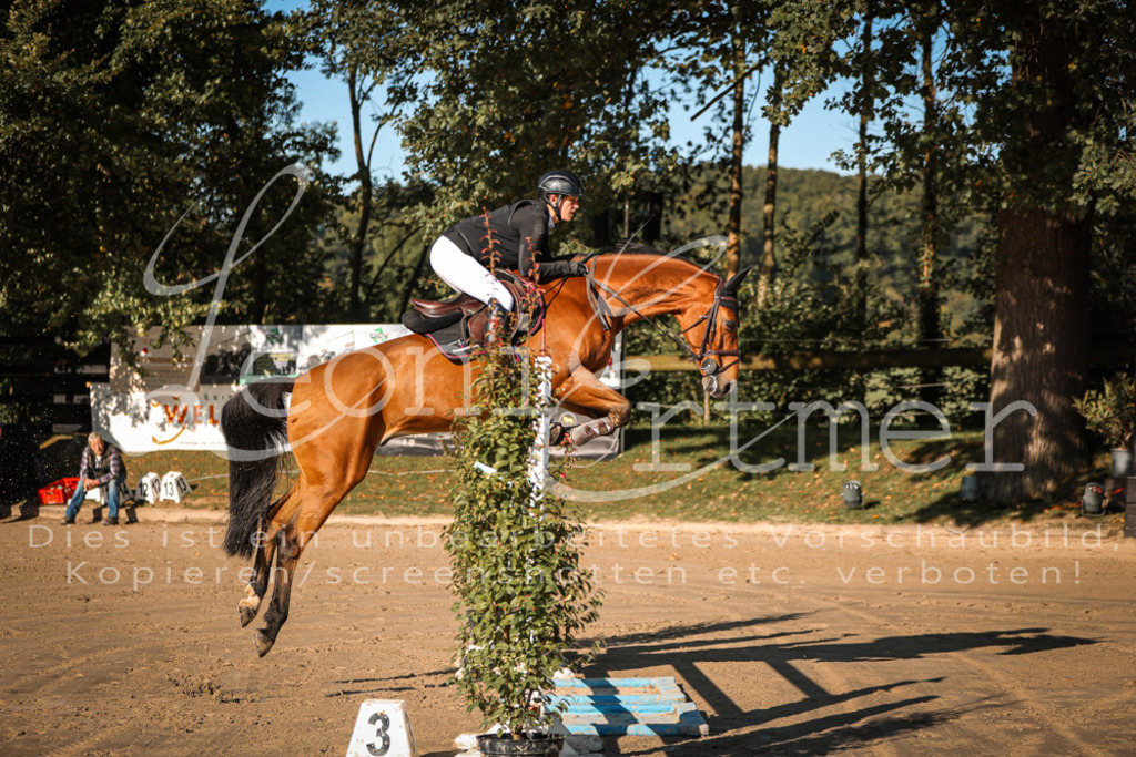 17.SoSpM200213 | Leoni Ertmer Photography - Realisiert mit Pictrs.com