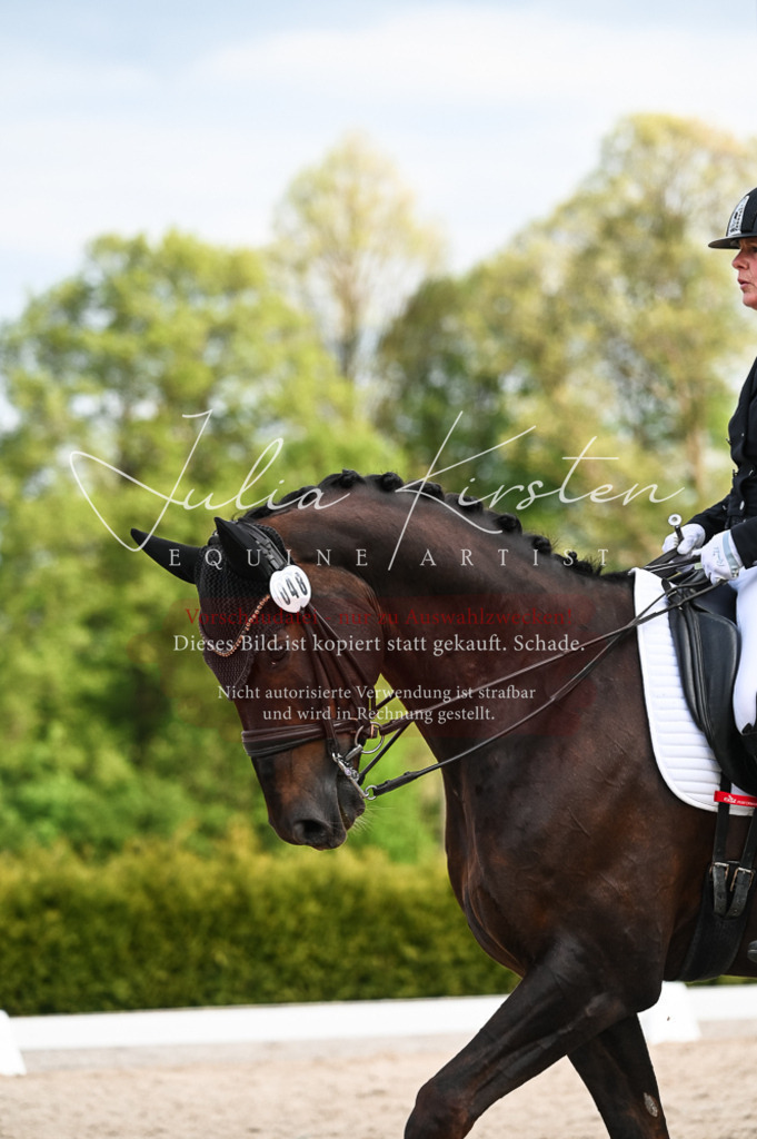 20230513_JK-Röhrsdorf-13-305 | Pferde- und Turnierfotografie in Westsachsen. Pferdeportraits, Auftragszeichnungen und intuitive Kunst.