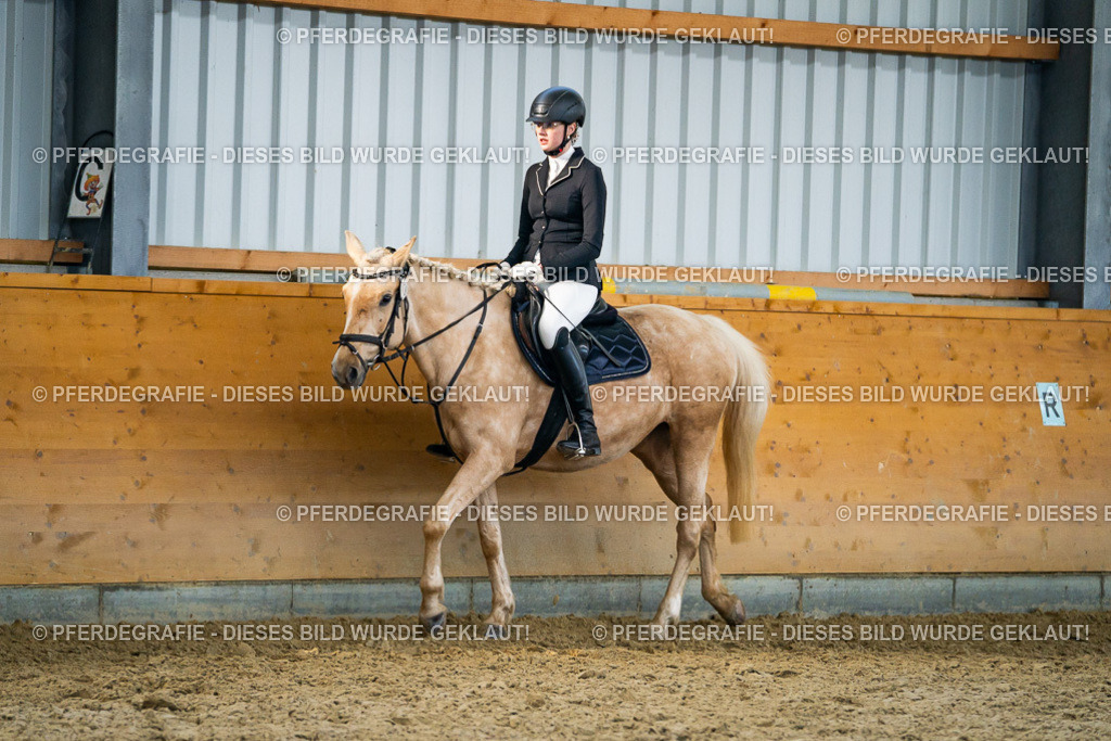 DSC00841 | Pferdegrafie