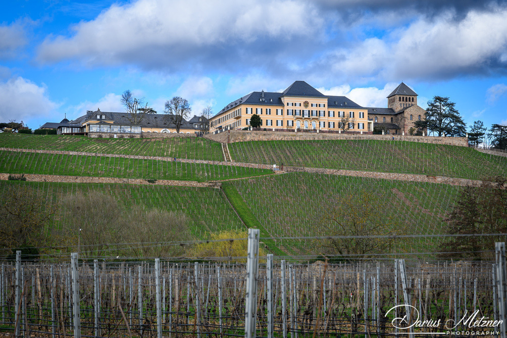 DSC_0515 | Fotografien, Fotos und Bilder aus Mainz, Frankfurt, Wiesbaden und anderen Orten auf der Welt - Fotografiert von Darius Metzner