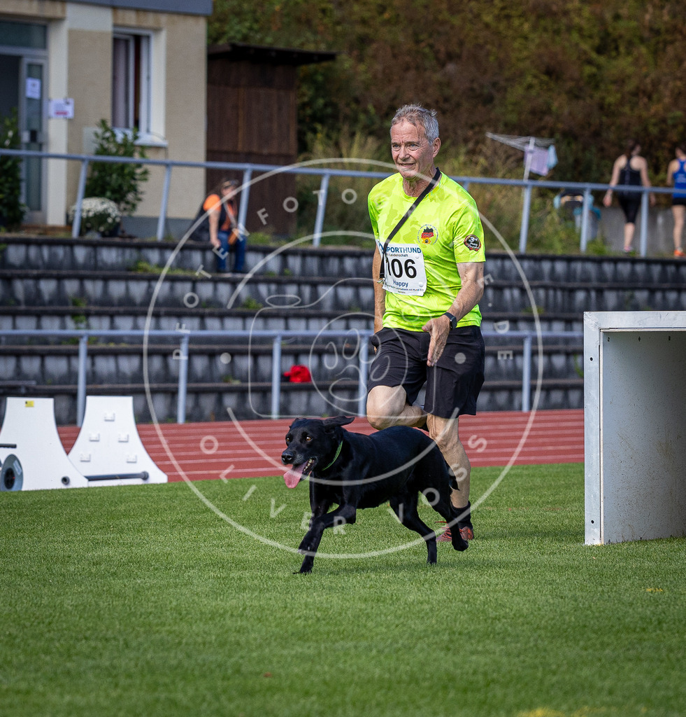 Pfotenfotografie_DV3A8167 | Hundefotografie, Tierfotograf, Pfotenfotografie, Fotoshooting Hund, Hunde Portrait, Hundesport, Hundeportraits, Heideshooting, Hunde, Sportfotograf, Hundefotograf, Turnierhundsport, THS,  - Realisiert mit Pictrs.com