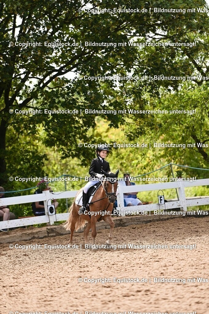 20230716_10-3_Reiter-WB Schritt - Trab - Galopp_0167 | equistock