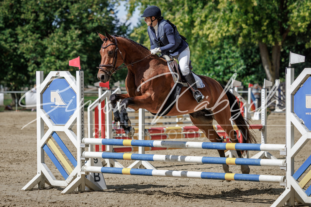 20260905-_3LI8921 | Tierfotografie Pferde, Hunde, Katzen, Haustiere.
Turnierfotografie Reitturniere, Reiten, Springreiten, Dressur in Hanau, dem Main-Kinzig-Kreis und dem Rhein-Main- Gebiet um Frankfurt
